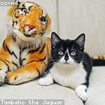 Frida Auer Profile Picture