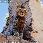 Jeanie Koelpin Profile Picture