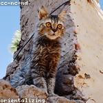 Jeanie Koelpin Profile Picture