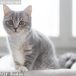 Dannie Ruecker Profile Picture