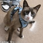 Annie Windler Profile Picture