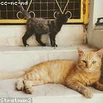 Adrian Metz Profile Picture