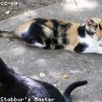 Justina Wisoky Profile Picture