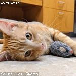 Clay Lind Profile Picture